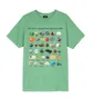 Stüssy Pig. Dyed Stones Tee (Grün)