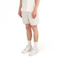 The North Face Water Short (Grau)