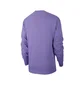 Nike ACG Logo Longsleeve (Lila / Pink)