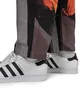 P.A.M. Printed X-Perience Reno Cino Pants (Multi)