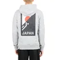 The North Face International Collection Classic Climb Hoodie (Hellgrau)