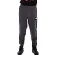 The North Face M Fine Pant (Asphalt-Grau)