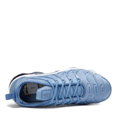 Nike Air VaporMax Plus (Blau / Grau)
