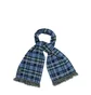 Aimé Leon Dore x Woolrich Plaid Scarf (Blau)