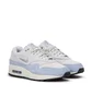 Nike WMNS Air Max 1 Premium SC (Grau)