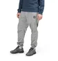 Stone Island Nylon Metal Ripstop Pants (Silber)