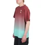 Converse x Patta Rain or Shine T-Shirt (Rot / Blau)