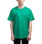 Nike ACG Logo T-Shirt (Grün)