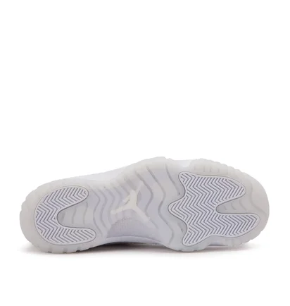 Air Jordan Future (Silbergrau)