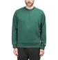 Carhartt WIP Chase Sweatshirt (Grün / Gold)