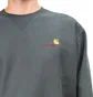 Carhartt WIP American Script Sweatshirt (Dunkelgrau)