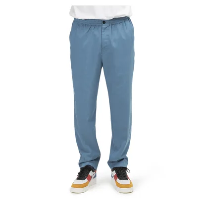 Stüssy Bryan Pant (Blau)