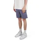 Carhartt WIP Flint Short (Blau)