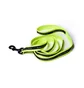 Raised by Wolves Dog Leash (Neongelb)