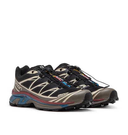 Salomon XT-6 (Braun / Multi)