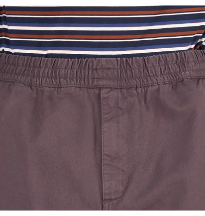 Carhartt WIP Flint Pant (Lila)