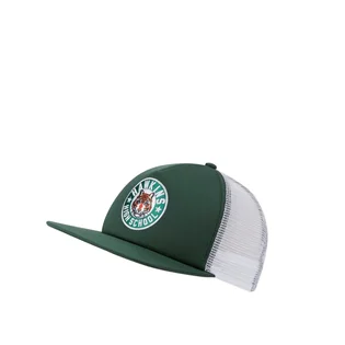 Nike x Stranger Things Pro Cap (Grün)