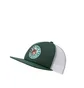 Nike x Stranger Things Pro Cap (Grün)