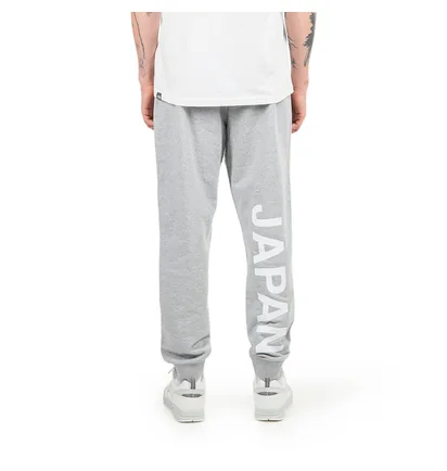 The North Face International Collection Sweatpant (Grau)