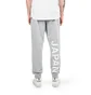 The North Face International Collection Sweatpant (Grau)