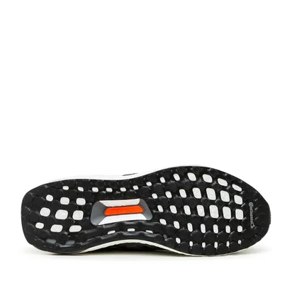 adidas x NASA Ultraboost DNA 5.0 (Schwarz / Grau)