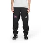 The North Face 7 Summits Futurelight Pants (Schwarz)