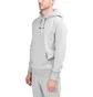 Aimé Leon Dore Logo Hoodie (Hellgrau)