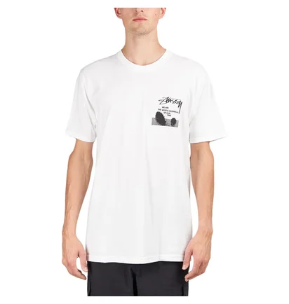 Stüssy Desert Sky Tee (Weiß)