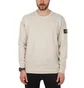Stone Island Sweat Shirt (Braun)