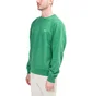 Stüssy Stock Logo Crewneck (Grün)
