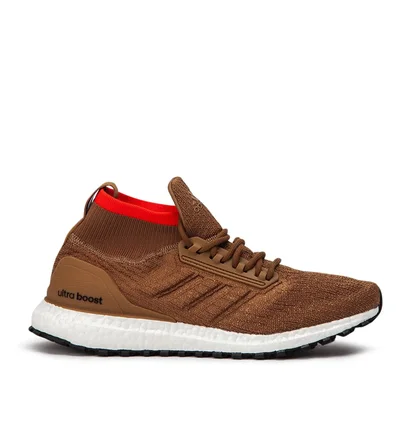 adidas Ultra Boost All Terrain (Braun)