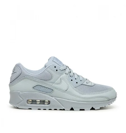 Nike Air Max 90 (Grau)