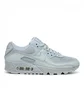 Nike Air Max 90 (Grau)