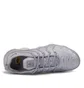 Nike Air VaporMax Plus (Grau)