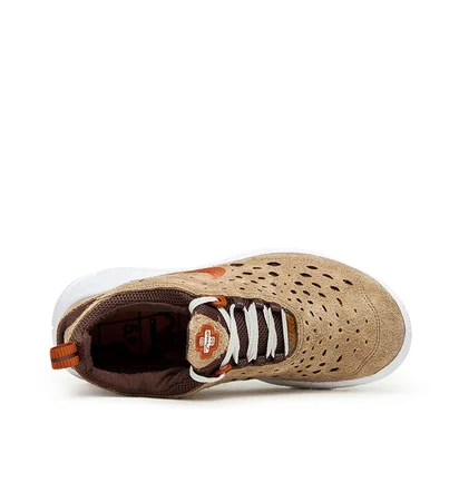 Nike Free Run Trial (Braun)