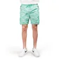 Stone Island Shadow Project Shorts (Grün)