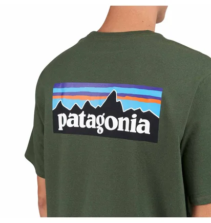 Patagonia P-6 Logo Responsibili-Tee (Grün)