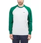 Aimé Leon Dore Baseball Longsleeve (Grau / Grün)