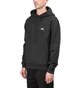 Stüssy Logo Hoodie (Schwarz)