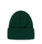 Stüssy Stock Cuff Beanie (Grün)