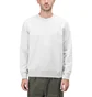 Carhartt WIP Chase Sweatshirt (Hellgrau)