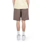Carhartt WIP American Script Sweat Short (Braun)