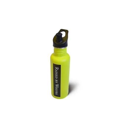 Raised by Wolves x Klean Kanteen Classic 27oz Bottle (Lime)