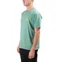 Stüssy Stock C. Pig Dyed Tee (Grün)