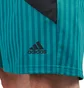adidas FC Bayern Icon Shorts (Grün / Gelb / Schwarz)