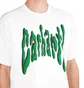 Carhartt WIP S/S Goo T-Shirt (Weiß / Grün)