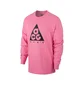 Nike ACG Logo Longsleeve (Pink / Schwarz)