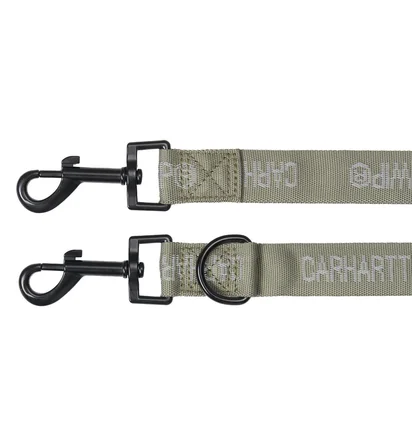 Carhartt WIP Tour Dog Leash & Collar (Grün)