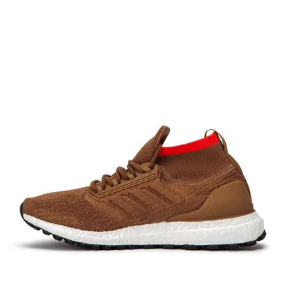 adidas Ultra Boost All Terrain (Braun)