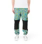 The North Face Black Box Track Pant (Schwarz / Multi)